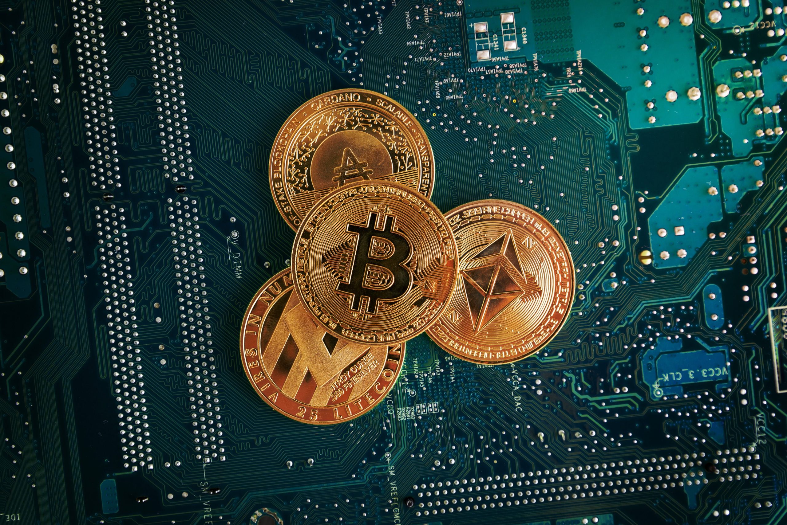 The Rise of the Crypto Casino: A Complete Guide to Digital Asset Gambling